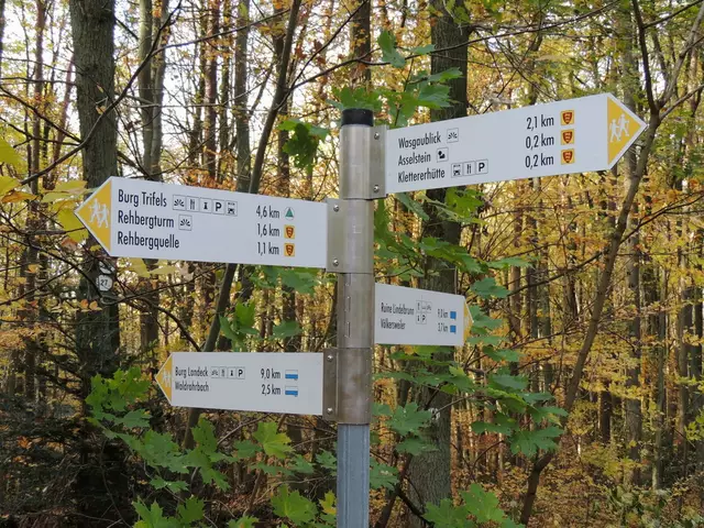 Die Markierung und Ausschilderung der neustrukturierten Wanderwege soll voraussichtlich Ende 2028 abgeschlossen sein | Foto: Verein SÜW Annweiler am Trifels