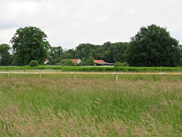 Blick auf die Pferderennbahn | Foto: Brigitte Melder