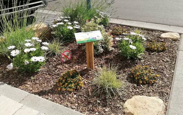 Wer eine Baumscheibenpatenschaft für kleine Haßlocher Grünflächen übernimmt, tut gleichzeitig etwas für Klima und Artenschutz.  | Foto: Gemeindeverwaltung Haßloch