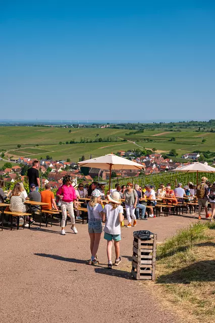 Pfingsten im Kastanienbusch: Beim Birkweiler Weinfrühling 2025 treffen Weingenuss, regionale Spezialitäten und Natur pur aufeinander | Foto: CC-BY Pfalz Touristik, Heimatlichter GmbH