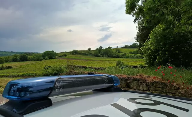 Die Polizei Grünstadt musste zu einem Unfall nach Laumersheim: Ein Rennradfahrer wurde von einem Auto angefahren. Der Verursacher flüchtete. | Foto: Foto: Polizei Grünstadt