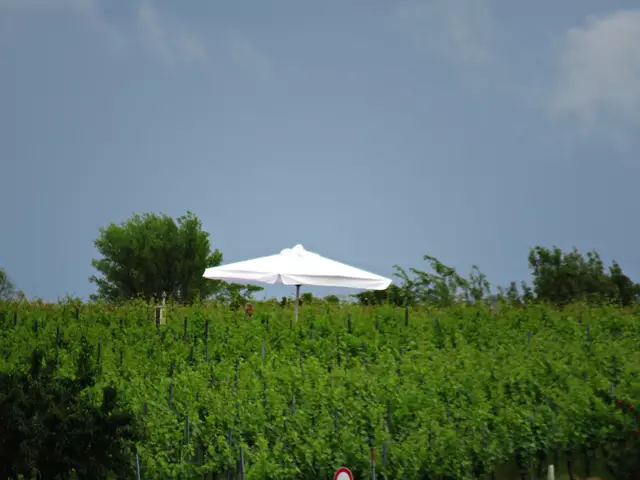 Fußmarsch durch den Ort zu den weißen Zelten | Foto: Brigitte Melder