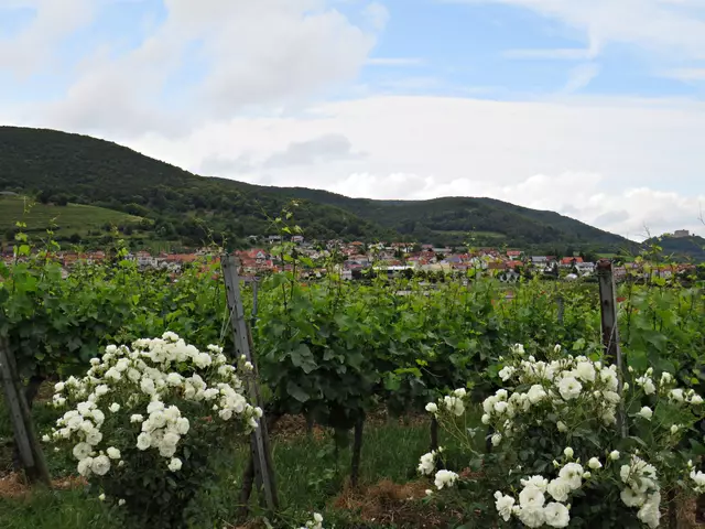 Foto: Brigitte Melder