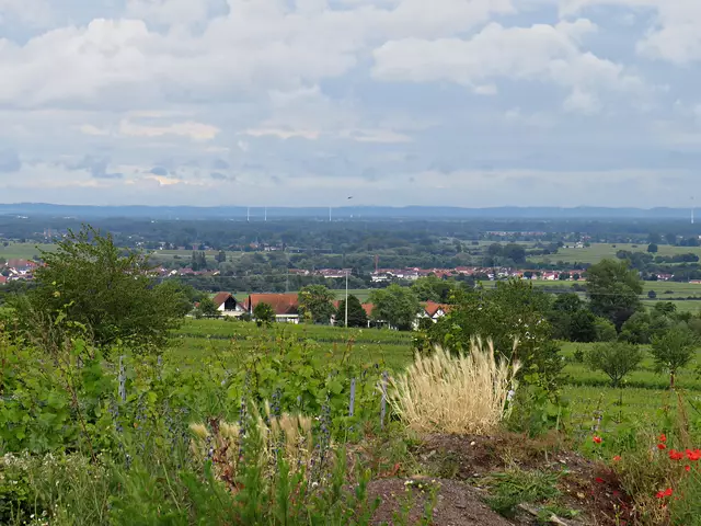 Was für ein Anblick! | Foto: Brigitte Melder