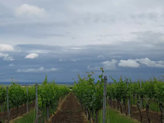 Foto: Brigitte Melder