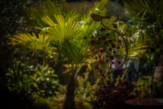 So schön sind die Bellheimer Gartentage 2025 - Pflanzen und vieles mehr für den eigenen Garten | Foto: Paul Needham