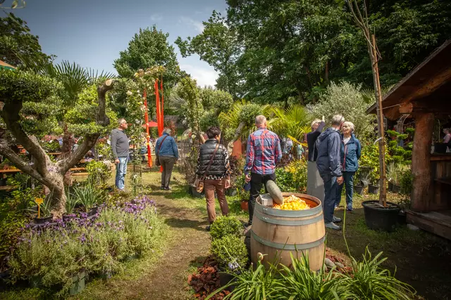 So schön sind die Bellheimer Gartentage 2025 - Pflanzen und vieles mehr für den eigenen Garten | Foto: Paul Needham