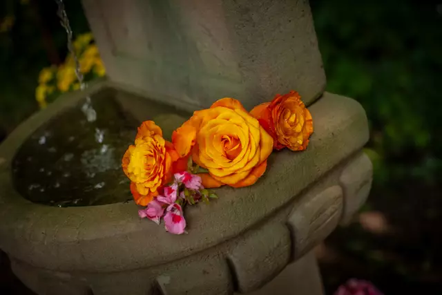 So schön sind die Bellheimer Gartentage 2025 - tolle Accessoires für Haus und Garten | Foto: Paul Needham