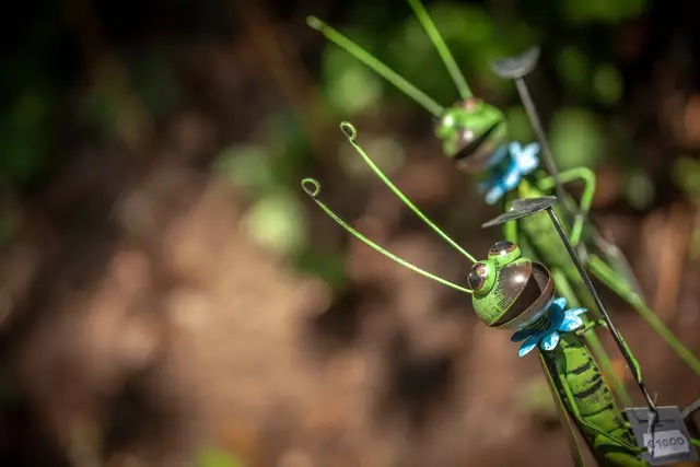 So schön sind die Bellheimer Gartentage 2025 - tolle Accessoires für Haus und Garten | Foto: Paul Needham