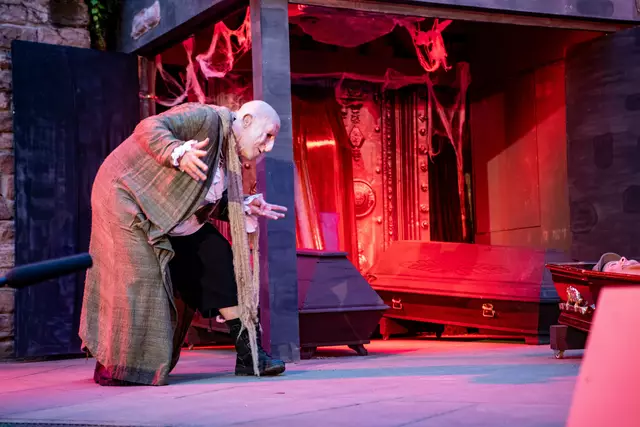 Der Gehilfe von Dracula Igor(Felix Schultze) | Foto: Wolfgang Neuberth