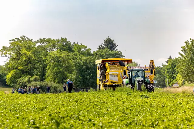 Foto: Johann-Peter Melder