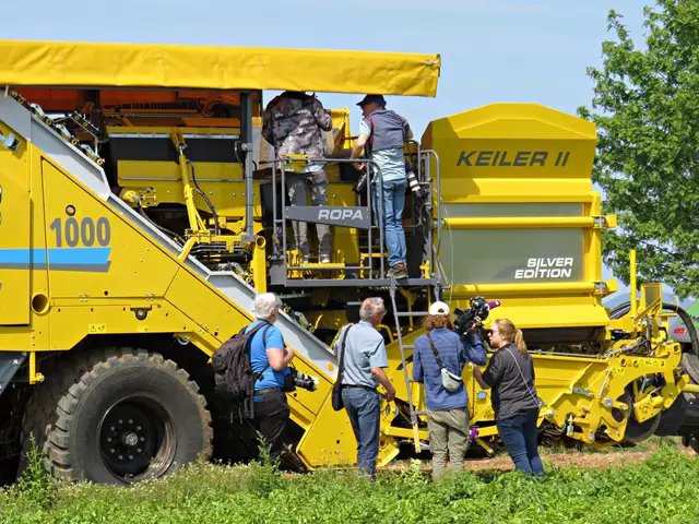 Foto: Brigitte Melder