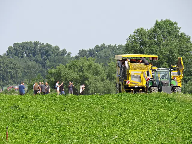 Foto: Brigitte Melder