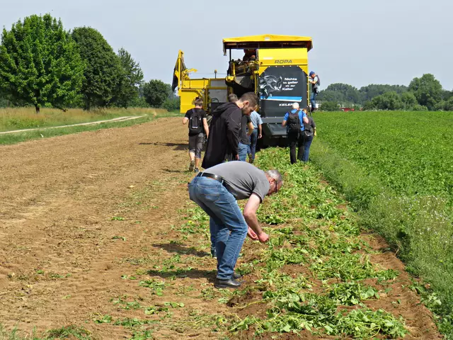 Foto: Brigitte Melder