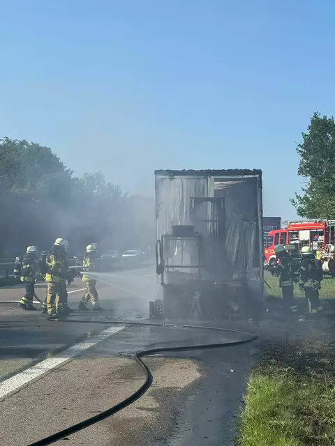Die Feuerwehr Speyer war mit drei Fahrzeugen und 18 Einsatzkräften etwa zwei Stunden im Einsatz | Foto: Stadt Speyer/Brand- und Katastrophenschutz