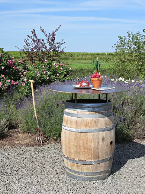 Foto: Brigitte Melder