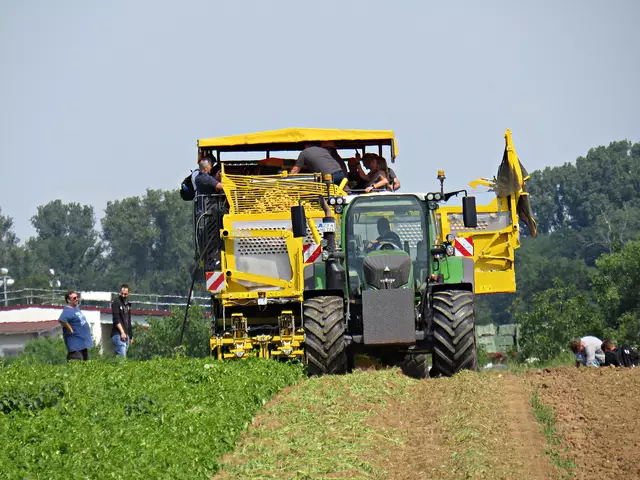 Foto: Brigitte Melder