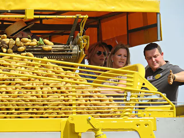 Foto: Brigitte Melder