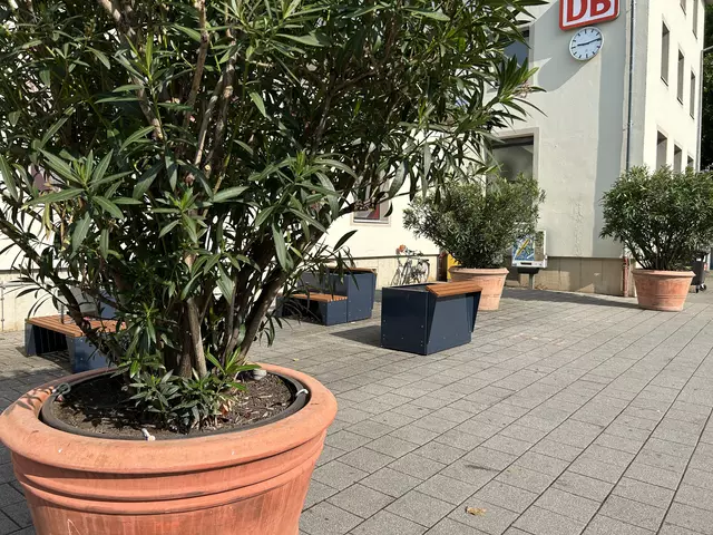 Der Bahnhofsvorplatz soll attraktiver werden - zunächst mit begrünten Sitzmöglichkeiten und Oleander-Kübeln | Foto: Stadt Speyer/gratis