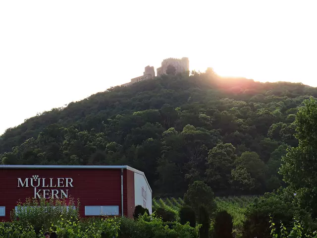 Blick auf das Hambacher Schloss | Foto: Brigitte Melder