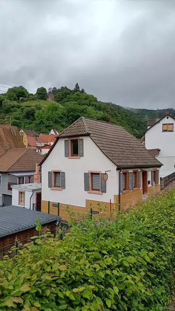 Blick zur Burg | Foto: Ich