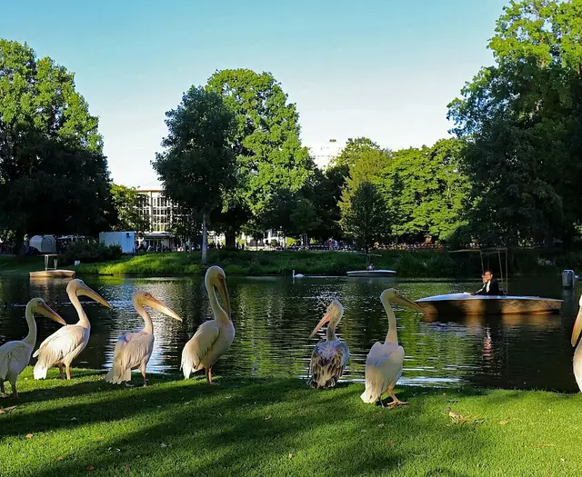 Bis in die Dämmerung mit der Gondoletta fahren: Auch das ist beim "Karlsruher Nacht-Zoo" am 27. und 28. Juni möglich | Foto: Timo Deible, Zoo Karlsruhe