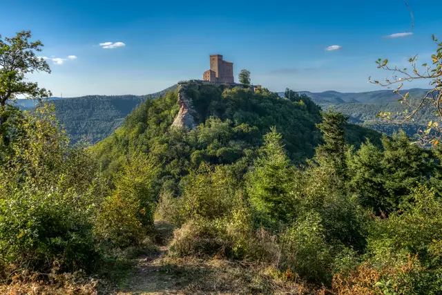Föhrlenberg mit Burg Trifels | Foto: Dirk Weber