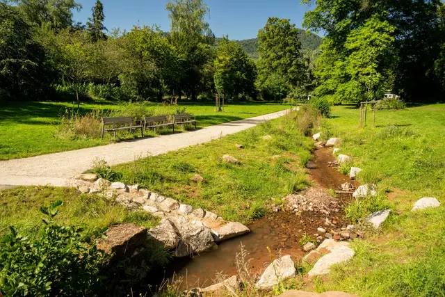 Auf geht“s zum Plauderspaziergang durch die Markwardanlage in Annweiler am Trifels.  | Foto:  Dominik Ketz