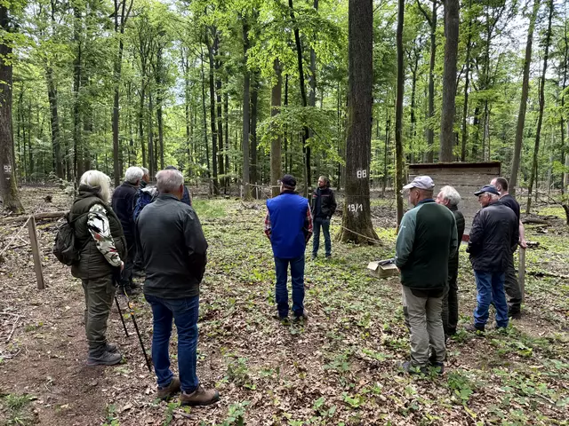 Der Waldbauverein auf der Versuchsfläche | Foto: Waldbauverein