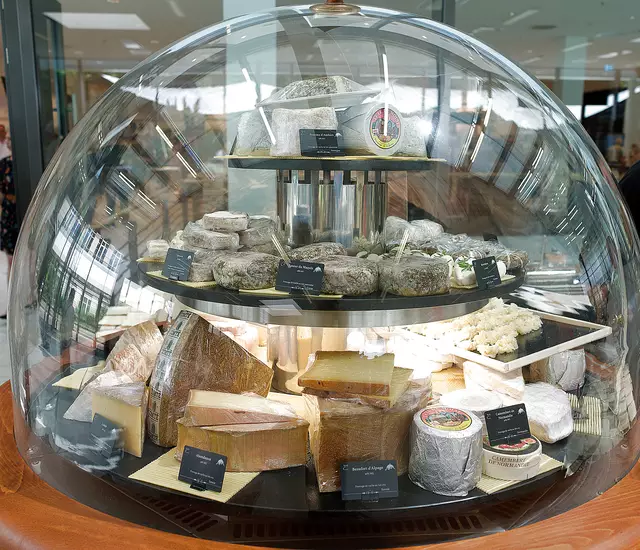 Foto: Michael Bartholomaeus