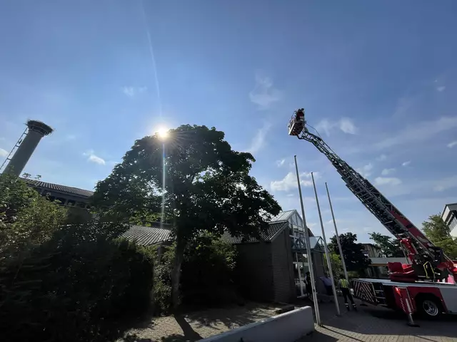 Möglichst nah ans Nest…. | Foto: Anne Weiler