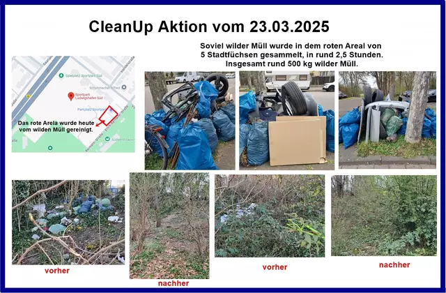 Foto: Stadtfüchse LU -Süd/Mundenheim