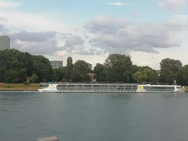 Vor allem rund ums Rheinufer, weiße Haus, Rheingalerie und Kornspeicher ist noch Raum für neue Nutzungen.  | Foto: Julia Glöckner