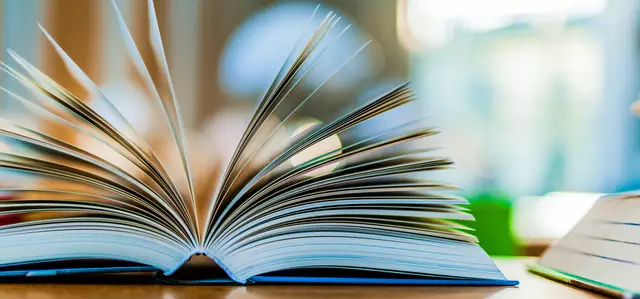 Buch Symbolbild | Foto: monticellllo/stock.adobe.com