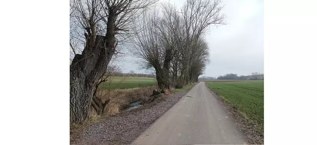 Fahrradstraße bei Wollmesheim | Foto: adfc