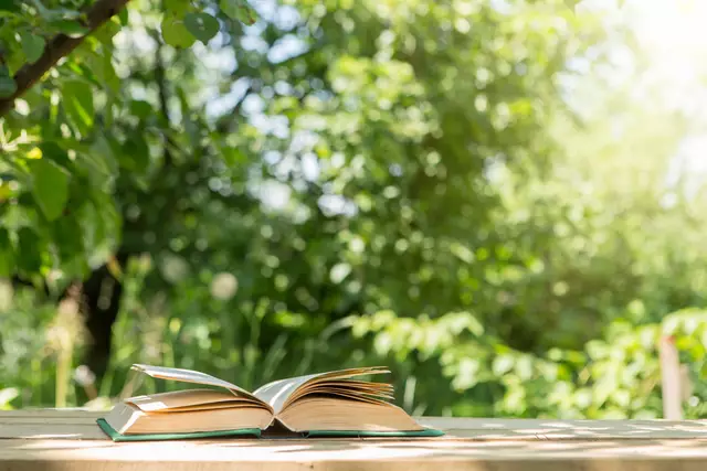 Lesen Symbolbild | Foto: Sensay/stock.adobe.com