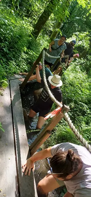 Tief im Moor | Foto: Nicole Peschke