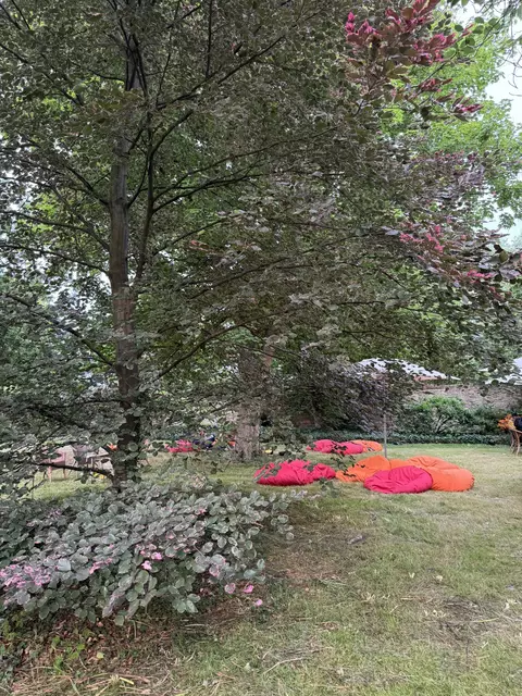 Foto: Mechthilde Gairing (c)