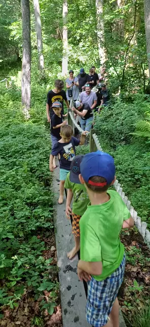 Auf dem Barfußpfad | Foto: Nicole Peschke