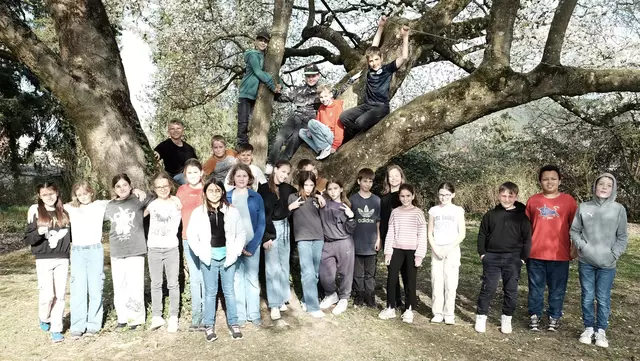 Die 5c... | Foto: HBG