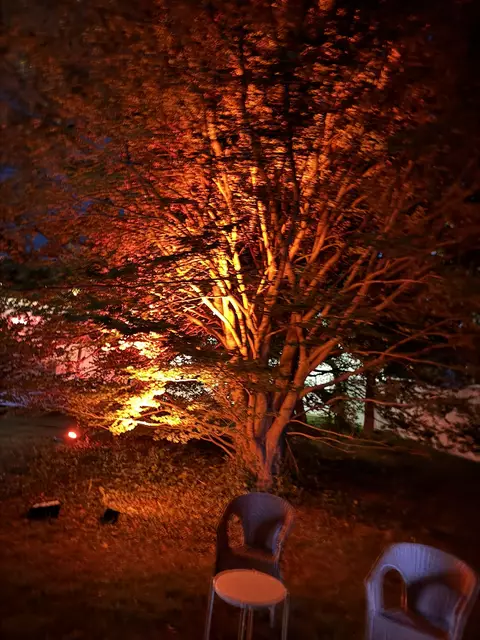 Foto: Mechthilde Gairing (c)