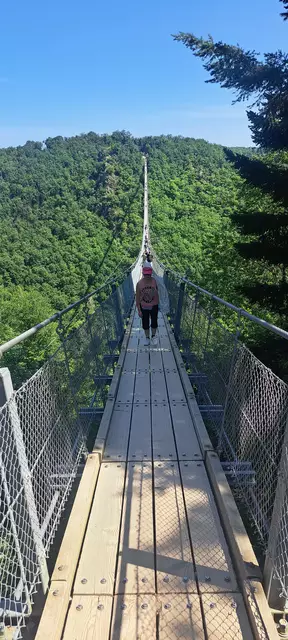 Hängeseilbrücke Geierlay | Foto: Nicole Peschke
