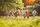 spielende Kinder in der Natur | Foto: davit85/stock.adobe.com