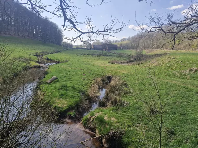 Mooslauter mit Mühlbach bei der Mückenmühle | Foto: Jürgen Heinz