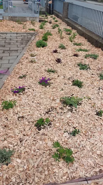 Foto: Katharina Lipphardt