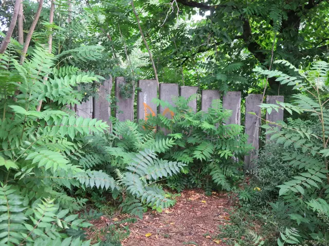 Der zweite Picknickplatz ist etwas versteckt | Foto: Julia Glöckner