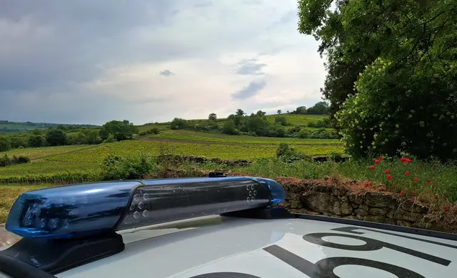 Streifenwagen Symbolfoto | Foto: POL-PDNW