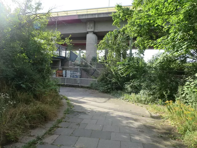 Schleichweg hinauf zur Lorientallee | Foto: Julia Glöckner