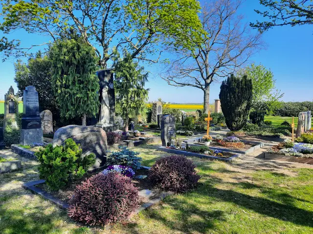 Friedhof | Foto: Kristin Hätterich
