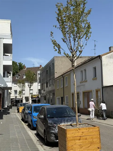 Mobile Baumstandorte | Foto: Wirtschaftsförderung Frankenthal